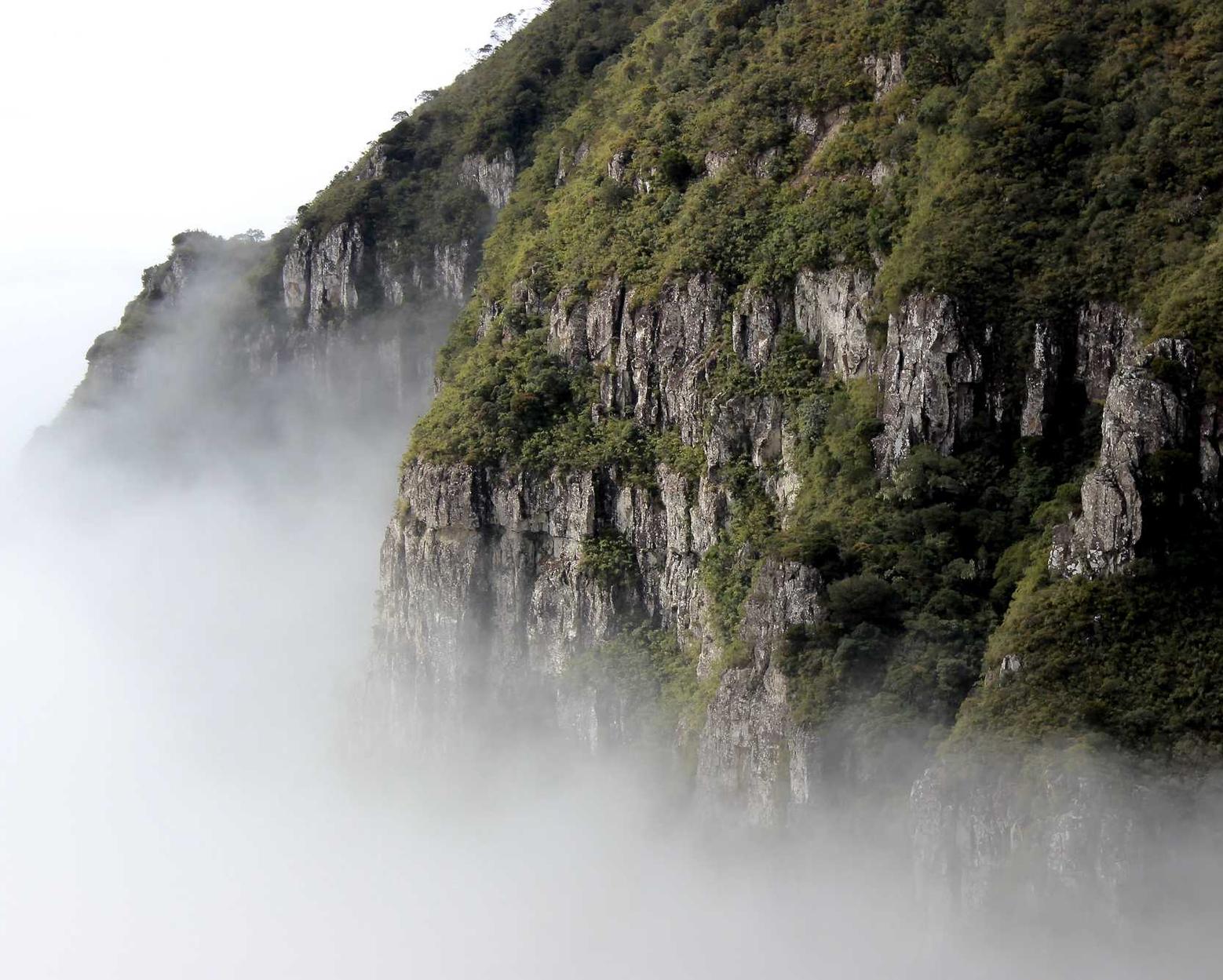 ice蓝冰爆珠:外汇黄金开户平台哪家好些