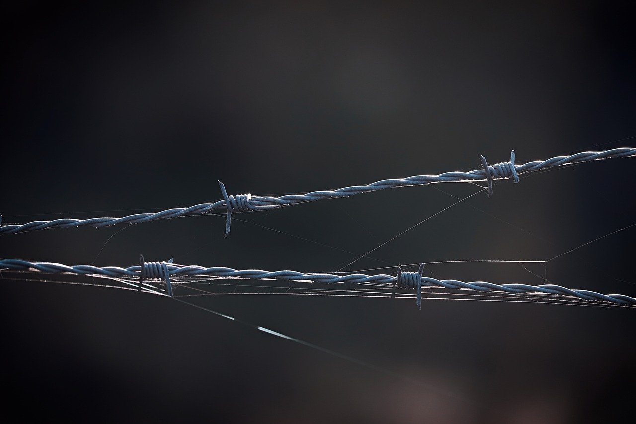 苍之骑士团2:如何注册运动员单位账号