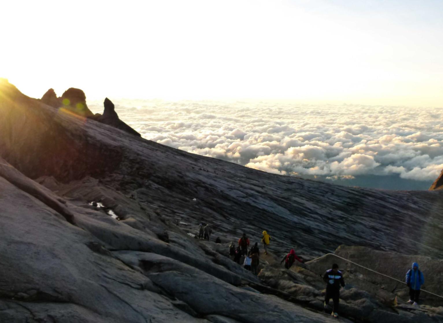 搜狐实名账号:详情下载教程海带app