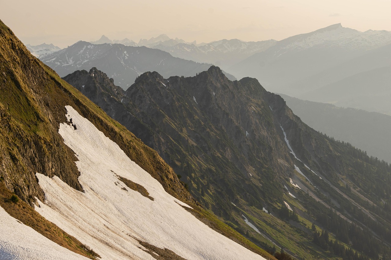 蓝冠臻越是什么平台代理