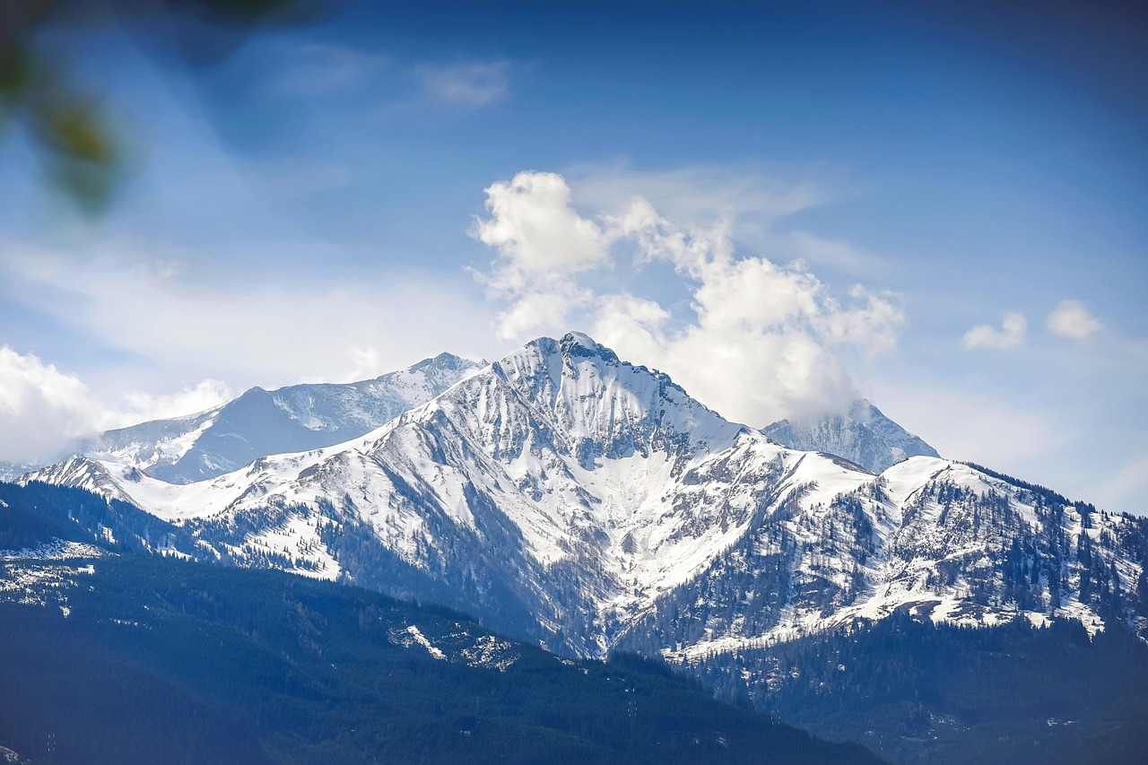 乐语通信实名账号:换脸app详情下载教程