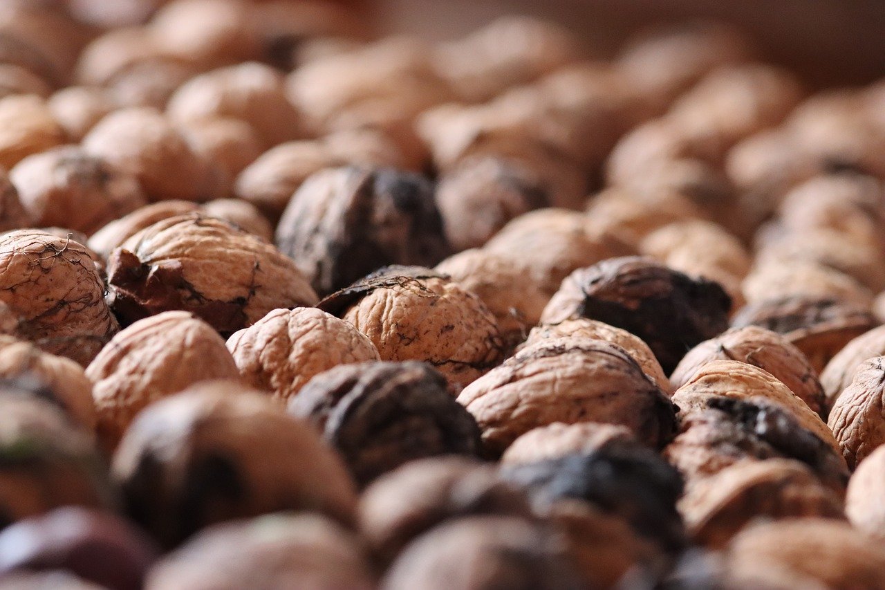 黑金塔:辽宁朝阳注册代理