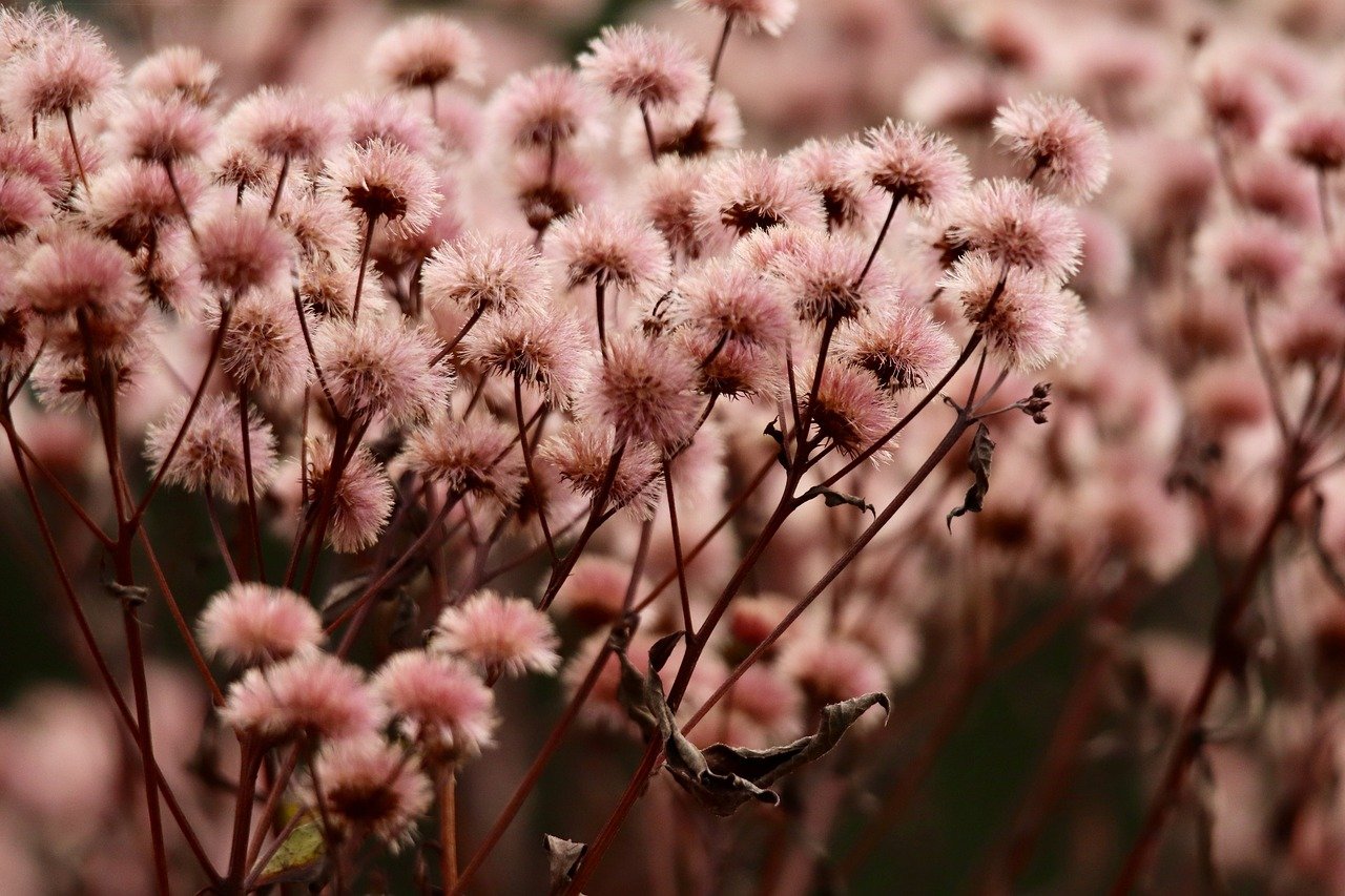 境界-死神激斗:东京账号购买平台